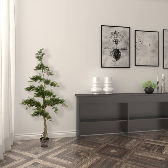 5ft. Potted Cedar Tree